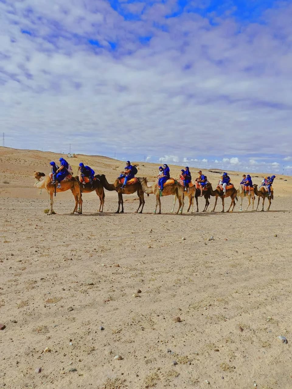 A caravan of camels with riders led single-file by guides across the Agafay Desert