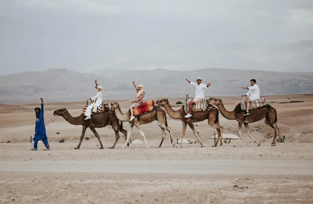 A line of camels with riders, led by a guide across the flat, stony Agafay Desert with mountains behind