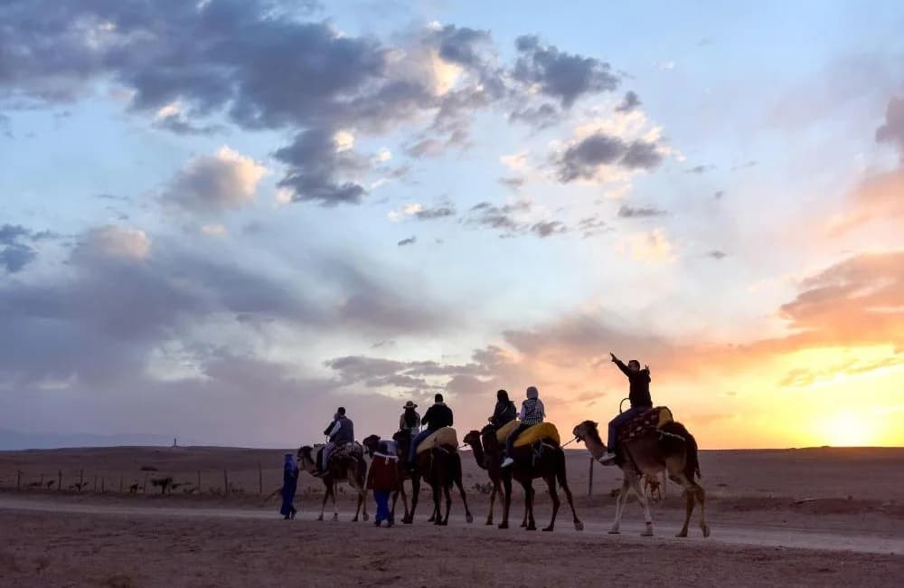 A camel and rider in silhouette against an orange sky as the sun goes down over the Agafay Desert